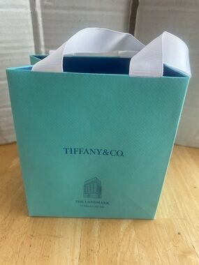 Tiffany & Co. Exclusive Small gift bag from The Landmark Tiffany Store 5th Ave